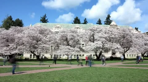 University of Washington Campus Stock Footage 11024359