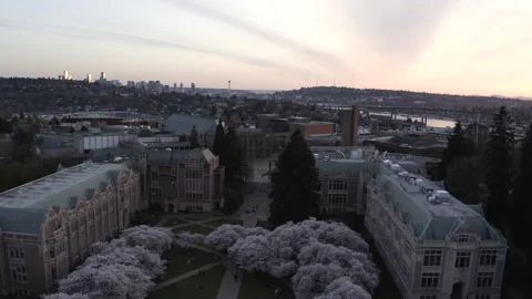University of Washington Video stock 163511924