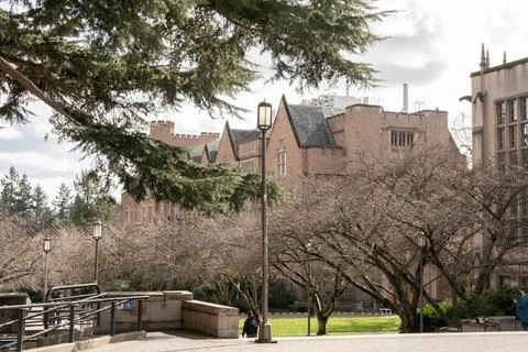 University of Washington, Seattle, Washington State, USA - There are historic Stock-Fotos