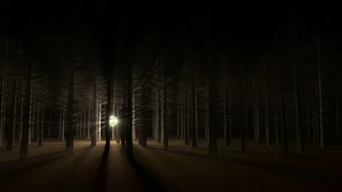 Unknown flying glowing sphere flies through the night forest. 4K Animation Stock Footage 150148441