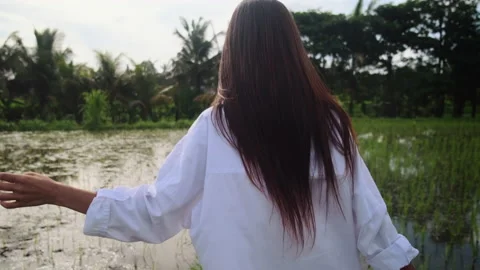 Unknown lady is walking by pathway in green rice field Stock Footage 139097487
