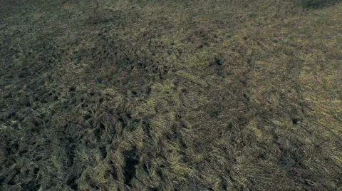 Unknown land Stock Footage 47955098