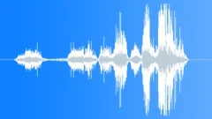 Unknown language 4Sound Effect
