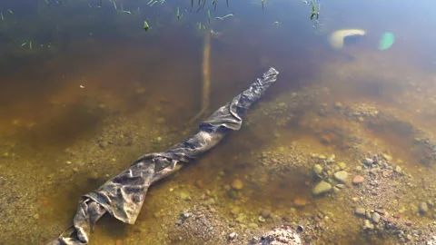 Unknown object dumped into lake water, handheld motion view Stock Footage 163395748