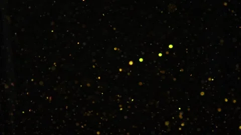 Unknown particles moving in the water create chaos, slow motion Stock Footage 277212934
