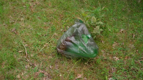 Unknown person drop bag trash at meadow forest Stock Footage 158123493