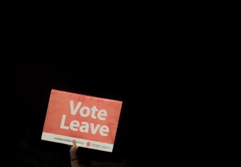 An unknown person holding a Vote Leave sign Stock Photos