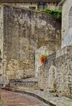 Unknown red flowers on an old stone wall. Stock Photos