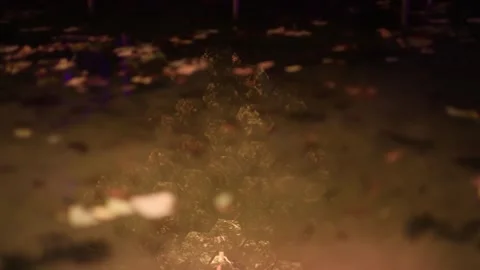 Unknown reflections on the water in the river Stock Footage 288019982
