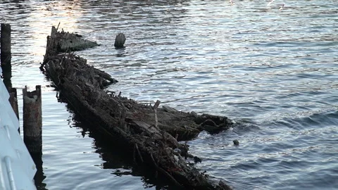 An unknown small ship that sank many years ago in the Caspian Sea Stock Footage 264163405