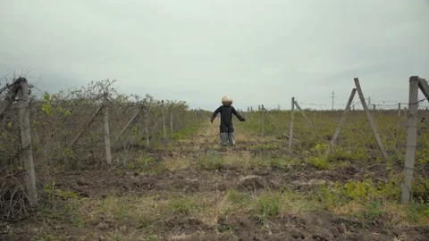Unknown standing on the black soil and dancing with hands.field with vineyard Vídeos de archivo 156786002
