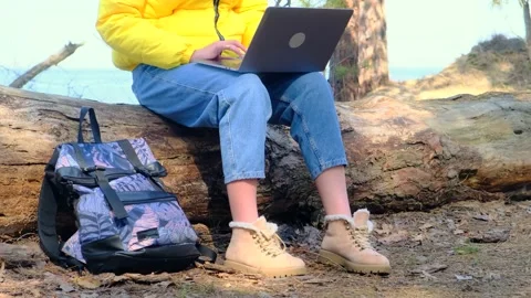 Unknown woman using laptop while sitting in forest on log on sunny fall or 스톡 동영상 165703616