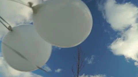 Unleashed white helium balloons fly high in the sky Stock Footage 58019074