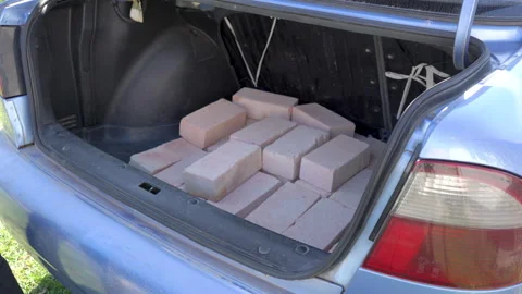 Unload the trunk of the car 스톡 동영상 169144362