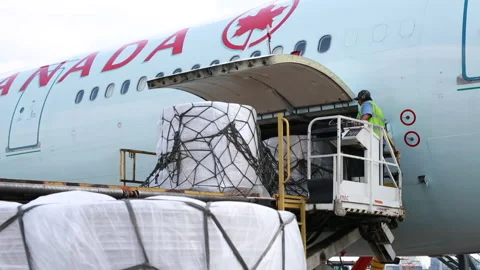 Unloading Air Canada Airplane Cargo with Worker Pointing (Part 2) Medium Video stock 219227553