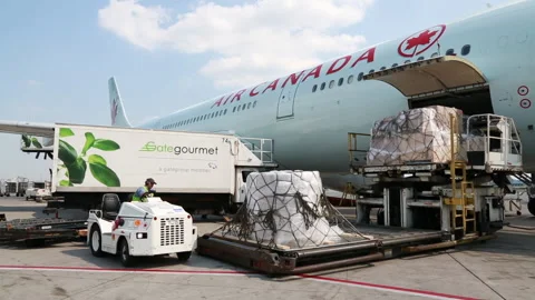 Unloading Air Canada Airplane Cargo with Catering Truck (Part 1) Wide Stock Footage 219227593