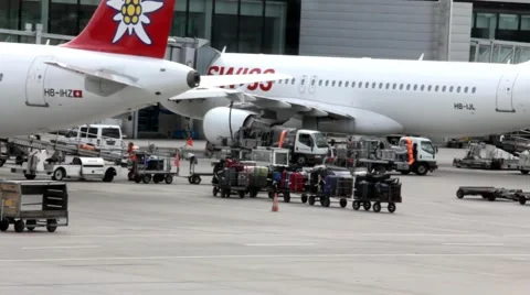 Unloading of the aircraft  after landing Stock Footage 41373976