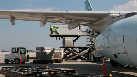 Unloading Airplane Cargo and Restocking Air Canada with Catering. Stock Footage 219227489