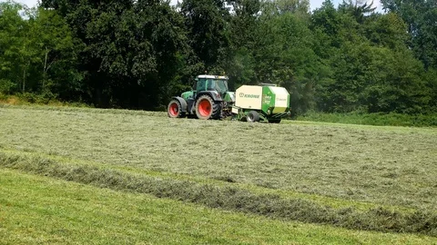 Unloading of the baling press Round of fresh hay bales during harvest Stock Footage 93850442