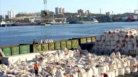 Unloading of barges in the port Stock Footage 56922104