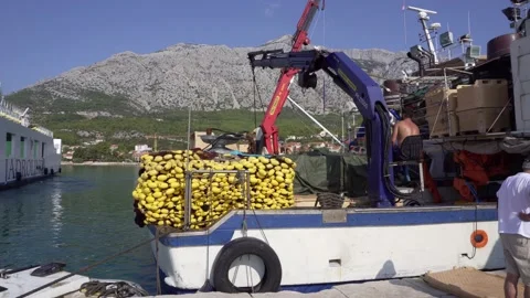 Unloading boats in port in Orebic Stock Footage 141148478