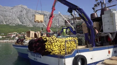 Unloading boats in port in Orebic Stock Footage 141148526