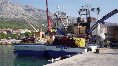 Unloading boats in port in Orebic Stock Footage 141148582