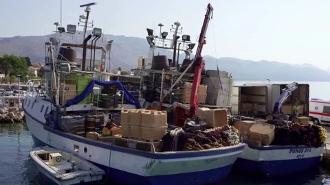 Unloading boats in port in Orebic Stock Footage 141148618