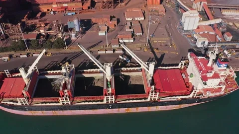 Unloading bulk dry goods from a bulk carrer, Australia 動画素材 169209455