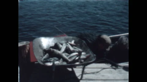 Unloading the Catch 1958 Stock Footage 213786195