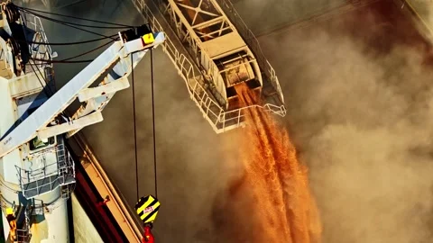 Unloading corn grain cereal on a conveyer elevator into a shipping container Stock Footage 316390753