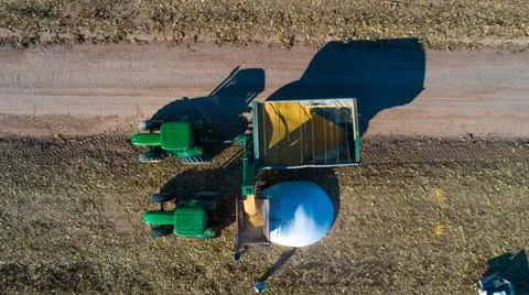 Unloading corn grain into tractor trailer after harvest in field. Foto stock