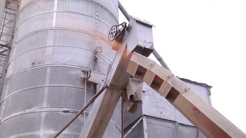 Unloading corn from the machine at the elevator Stock Footage 145524863