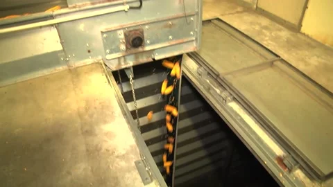 Unloading corn from the machine at the elevator Stock Footage 145524868