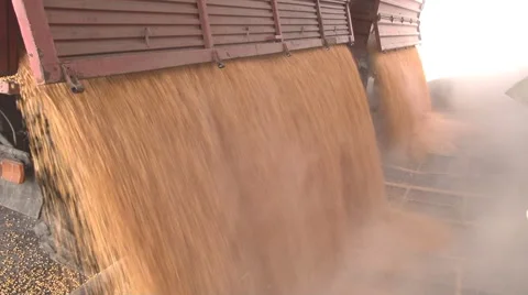 Unloading corn in a silo Stock Footage 43157453