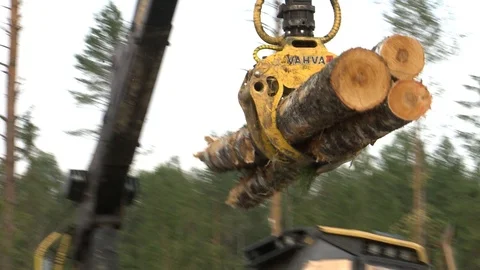 Unloading of cut trees Stockbeeldmateriaal 105153057