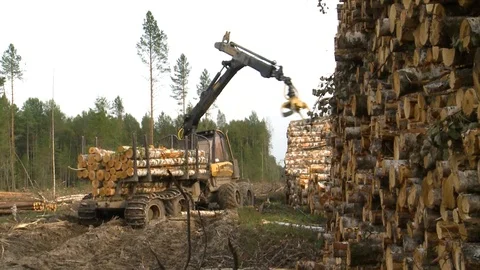 Unloading of cut trees Stockbeeldmateriaal 105153084