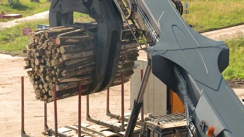 Unloading of cut trees Stockbeeldmateriaal 105153171