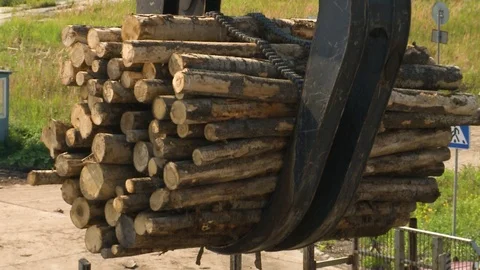 Unloading of cut trees Stockbeeldmateriaal 105153172