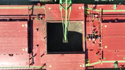 Unloading dry cargo ship of wheat by cranes in port. Stock Footage 334026527