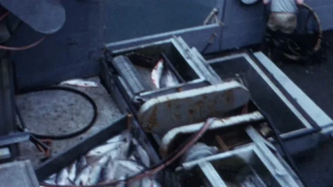 Unloading Fish Excursion Inlet 1967 動画素材 162590572