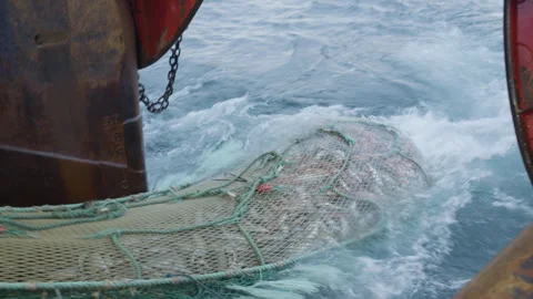 Unloading fish from the trawl. Stock-Footage 241653002