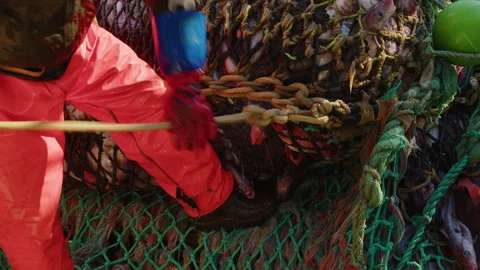 Unloading fish from the trawl. Vídeos de archivo 311318361