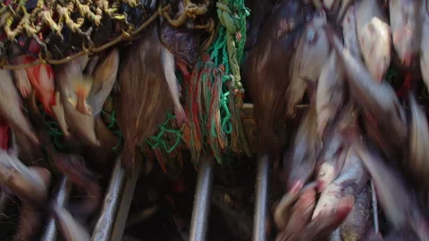 Unloading fish from the trawl. Vídeo Stock 311318715