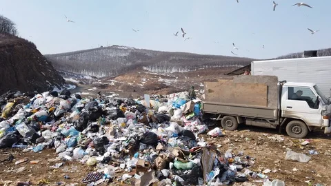 Unloading garbage from a truck. A huge dump of household waste. Stock Footage 126500616
