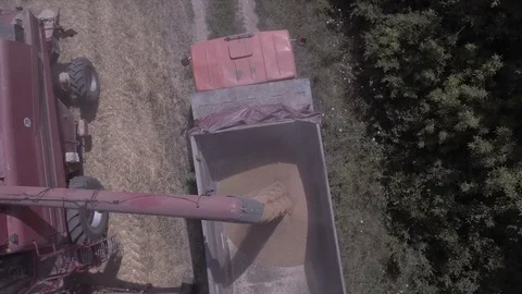 Unloading grain Video stock 112778835