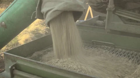Unloading grain into hopper car for storage and supply of seeds closeup Stock Footage 64591143