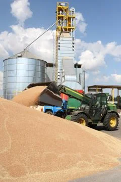 Unloading grain Stock Photos