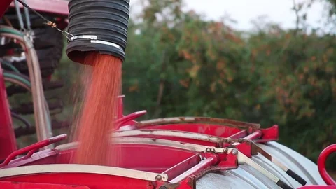 Unloading grain from the tractor trailer in silo Stock Footage 80437862