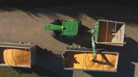 Unloading grain into truck Video stock 53792537